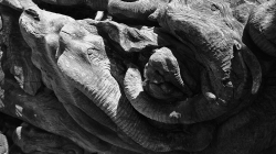 Se dřevem místní umí