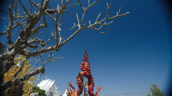 Wat Rong Khun - Bílý chrám