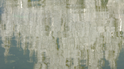 Wat Rong Khun - Bílý chrám