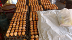 Tady se zpracovává drůbež, venku je asi 30 nad nulou