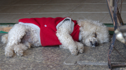 Vedro? Asi ne, když dostal obleček :)