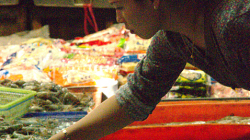 Trh pro místní v Chiang Rai