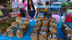 Trh na ulici, a zase ty ryby