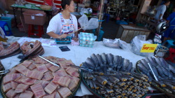 Trh na ulici, prodavačka igelitkama odhání mouchy z masa. Venku je okolo 30 nad nulou