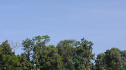 Něčí \"rezidence u Akha\"