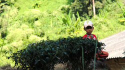 Děti z horských kmenů