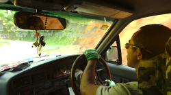 Řidič, jedeme za slony