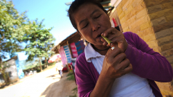 Libo li doutník z banánového listu?