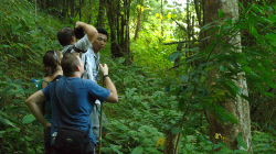 Koukej a foť, bílá tváři