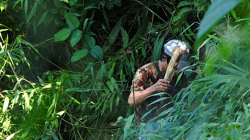 Do něčeho bušil v pralese