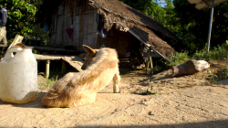 Jedna z vesniček v okolí Akha