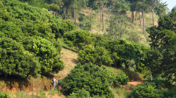A pak vyrazil s Jančou na výlet