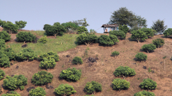 Martin s Jančou, aneb šmírovačka