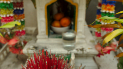 Klasický ježek ze zby