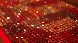 Nakupujeme na Night Bazaru