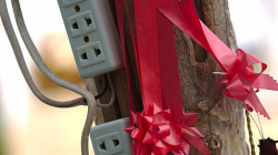 Zásuvky na stromě aneb elektro instalace mne občas nepřestaly udivovat