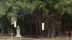 Výlet lodí po řece