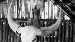 Vyjížďka po řece - jakožefarma