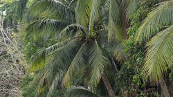 Vyjížďka po řece