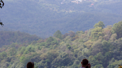 Ach ty thajské výhledy