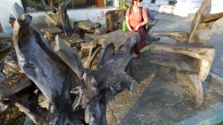 Lavice využívající přirozené tvary dřeva. Zvláštní a krásné