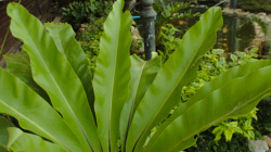 Nádraží Chiang Mai