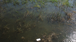 Záplavy v Bangkoku a okolí