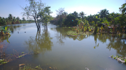 Záplavy v Bangkoku a okolí