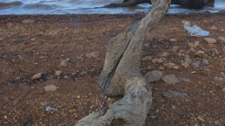 Jezero v NP Kaeng Krachan