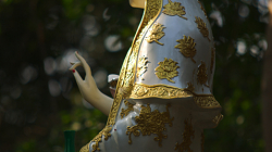 na ostrově v NP Kaeng Krachan