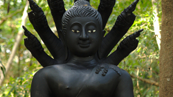 na ostrově v NP Kaeng Krachan