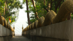 na ostrově v NP Kaeng Krachan