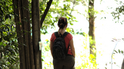 Ája na procházce po ostrově