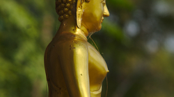 na ostrově v NP Kaeng Krachan