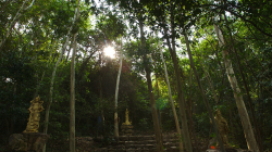 na ostrově v NP Kaeng Krachan