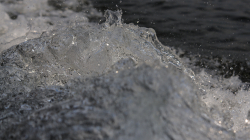 na ostrově v NP Kaeng Krachan