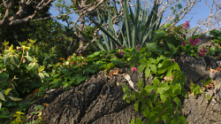 Komplex nad Phetchanaburi