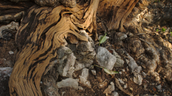 Komplex nad Phetchanaburi