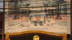 Král Thajský je všude