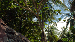 Koh Lanta - Lanta Family Resort