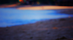 Plyšáci nemohli chybět