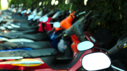 Skútry jsou skutečně velice časté