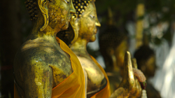 Chrámovačka v Chiang Mai