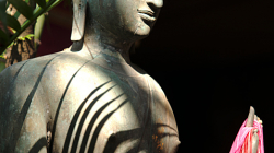 Chrámovačka v Chiang Mai