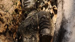 Chrámovačka v Chiang Mai