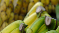 Trh Sompet Market v Chiang Mai