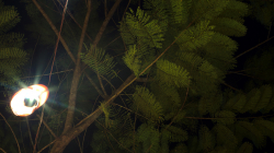 Čekáme na večeři v Pai