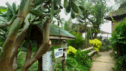 Chladné ráno v Pai