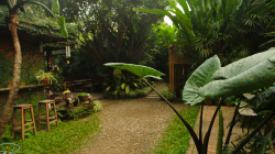 Chladné ráno v Pai