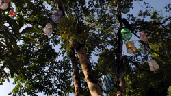 Strom s kyblíkovými lampami